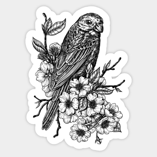 Finch on cherry branch Sticker by katerinamk